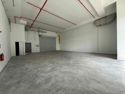 Ct Foodnex (D25), Factory #600087861
